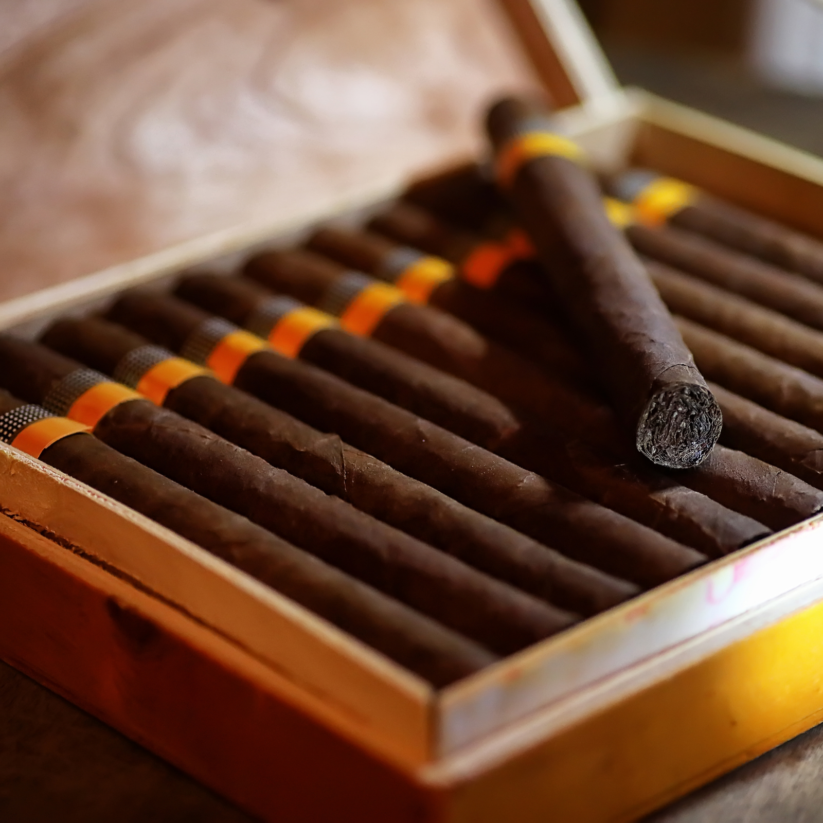 Close-up luxury cigar details